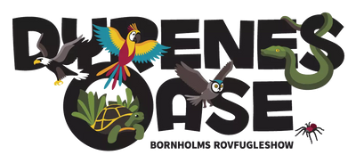 bornholmsrovfugleshow