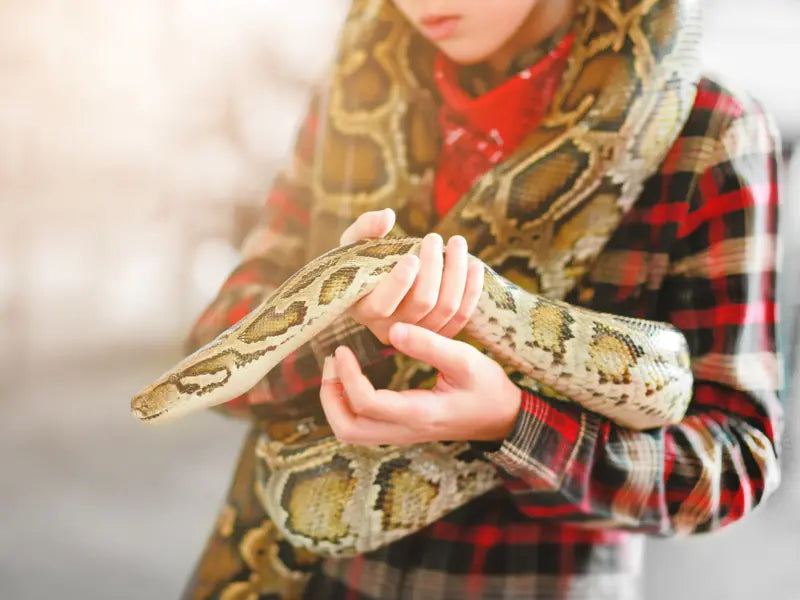 Marts Tilbud Dyrens Oase